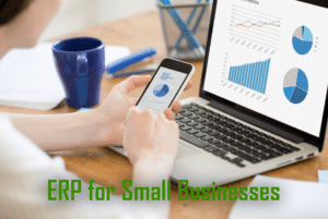 ERP for Small Businesses